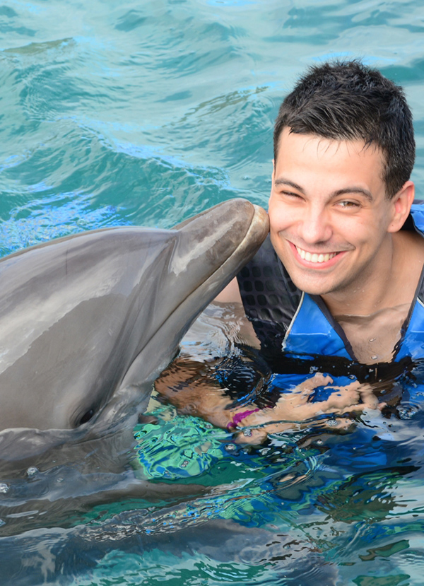 dolphin-swim-curacao